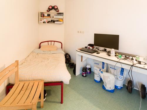 Photo non contractuelle